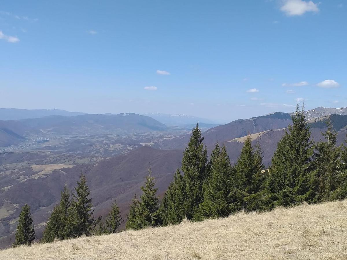 Садиба Під Чертежиком Kolochava Exterior foto