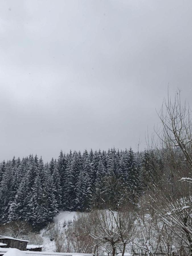 Садиба Під Чертежиком Kolochava Exterior foto